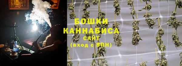 гидропоника Алзамай